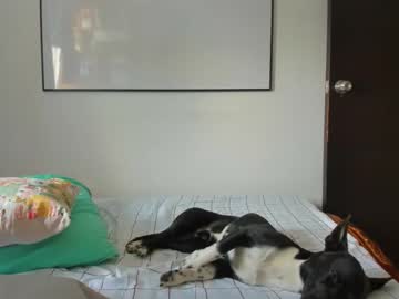 Squirttati33 May 06, 2026 Chaturbate stream image
