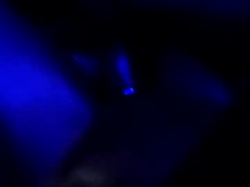 Zooted12 May 11, 2026 Chaturbate stream image