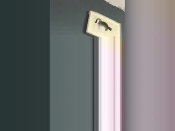 Stuntcock88 May 12, 2026 Chaturbate stream image