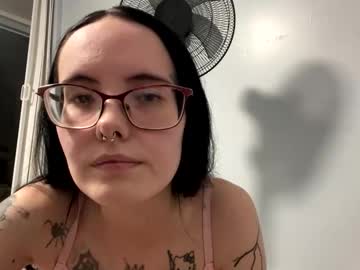 Princesshals May 13, 2026 Chaturbate stream image