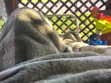 Lild1535 May 16, 2026 Chaturbate stream image