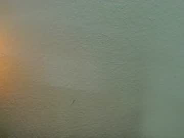 Elliohh May 16, 2026 Chaturbate stream image
