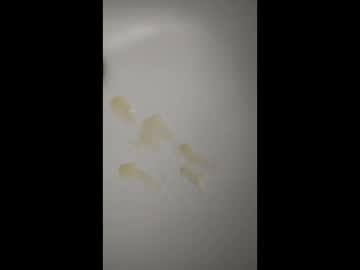 Alexis83834 May 17, 2026 Chaturbate stream image