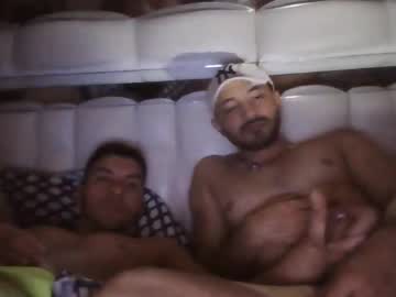 Elgatolive4 May 18, 2026 Chaturbate stream image