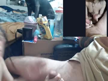 Crownandkat May 19, 2026 Chaturbate stream image