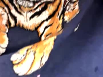 Mssquirterky May 21, 2026 Chaturbate stream image