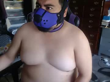 Cubgamerbear May 21, 2026 Chaturbate stream image