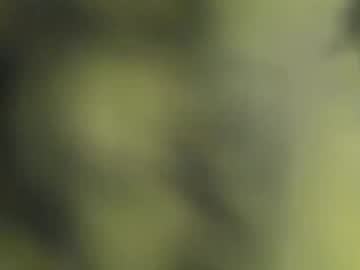 Benz10001 May 23, 2026 Chaturbate stream image