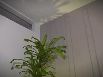 Frankfarrellx May 23, 2026 Chaturbate stream image