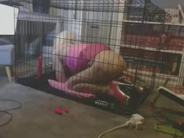 Alexas_Owned_Bitch May 23, 2026 Chaturbate stream image