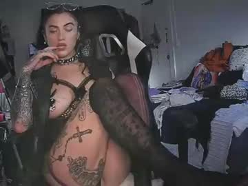 Thejennataylor May 24, 2026 Chaturbate stream image
