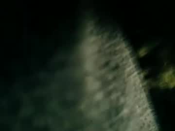Goongander May 25, 2026 Chaturbate stream image