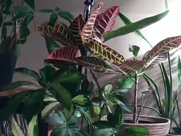 Pricklypear85 May 26, 2026 Chaturbate stream image