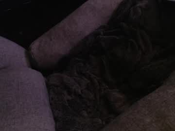 Casual_Chris May 26, 2026 Chaturbate stream image