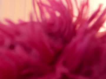 Miss_Alhy May 27, 2026 Chaturbate stream image