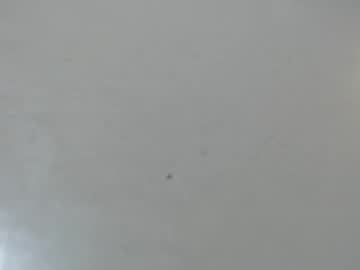 Manotcheblu May 28, 2026 Chaturbate stream image