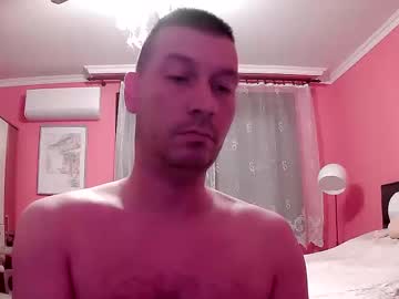 The_Bee16 June 01, 2026 Chaturbate stream image