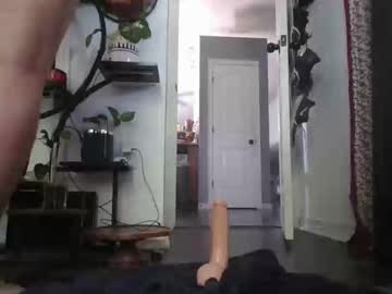 Marco_Rodeo June 01, 2026 Chaturbate stream image