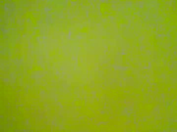 Ebony4268 June 02, 2026 Chaturbate stream image
