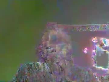Nitai84 June 07, 2026 Chaturbate stream image