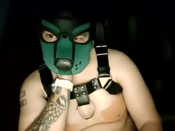 Pup_Kori June 08, 2026 Chaturbate stream image