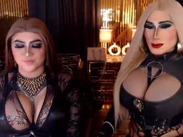 Queen_Horsecock June 08, 2026 Chaturbate stream image