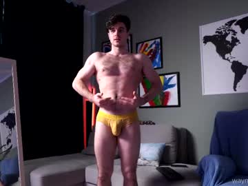 Waynenorth June 09, 2026 Chaturbate stream image