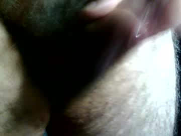 Gattosilvestro00 June 12, 2026 Chaturbate stream image