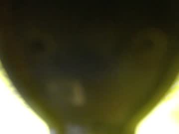 Catalina201 June 13, 2026 Chaturbate stream image