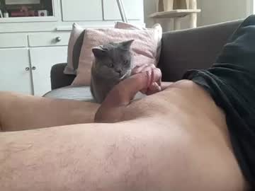 Thegermanguy81 June 15, 2026 Chaturbate stream image