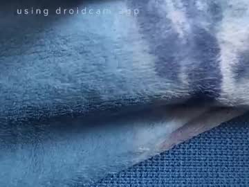 Bluealpakka June 15, 2026 Chaturbate stream image
