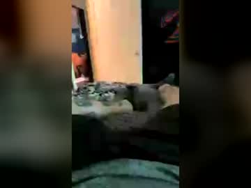 Tylermorris12 June 15, 2026 Chaturbate stream image