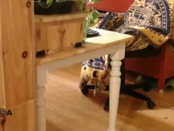 Precarium June 22, 2026 Chaturbate stream image