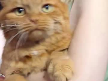 _Caramel_Milk_ June 24, 2026 Chaturbate stream image