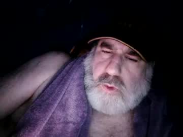 Straightbear4you June 24, 2026 Chaturbate stream image