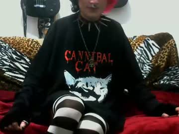 Catnip4i20 June 27, 2026 Chaturbate stream image