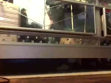Thickmadame28 June 29, 2026 Chaturbate stream image
