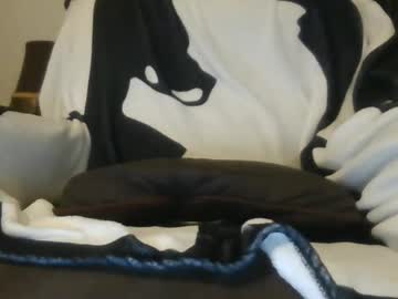 Hankskrave July 01, 2026 Chaturbate stream image