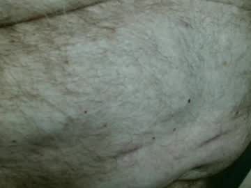 Gettingstiff July 01, 2026 Chaturbate stream image