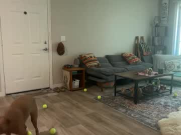 Bitesizemonki July 01, 2026 Chaturbate stream image