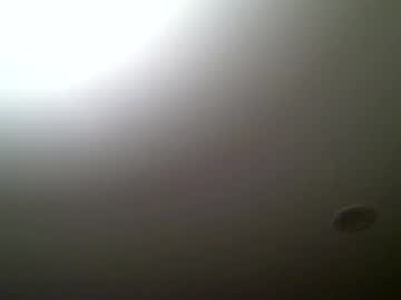 Woodeee77 July 02, 2026 Chaturbate stream image