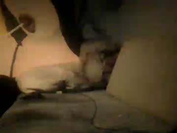Sander199955 July 02, 2026 Chaturbate stream image