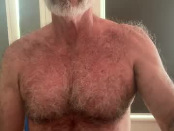 Bigbush1 July 03, 2026 Chaturbate stream image