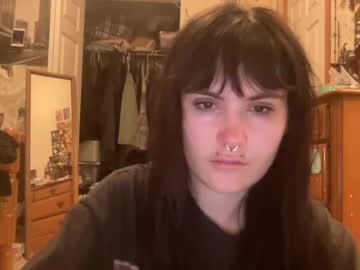 Bushbabe3008 July 03, 2026 Chaturbate stream image