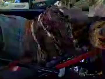 Vennus23 July 03, 2026 Chaturbate stream image
