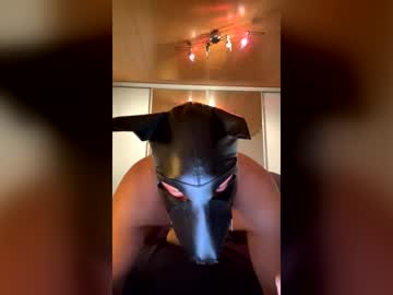 Playdog123 July 04, 2026 Chaturbate stream image