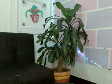 Aine_Ileana July 05, 2026 Chaturbate stream image