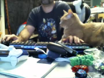 Longandcut99 July 08, 2026 Chaturbate stream image