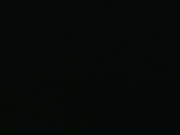 That_Swiss_Guy July 10, 2026 Chaturbate stream image