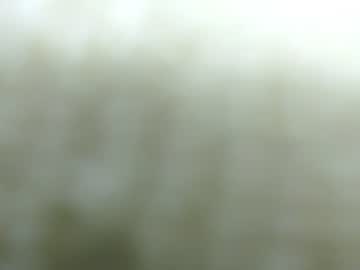 Sophia_Hadid July 14, 2026 Chaturbate stream image